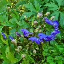 구마일주통나무산장 이미지