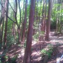 동아대학교의료원 이미지