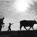 한국수자원공사 대청댐물문화관 이미지