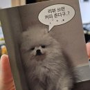 부이에나 | [부이]폴딩 카메라 내돈내산 후기｜레트로 감성 가득한 카메라 추천📷