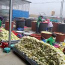 부강면문화복지회관 이미지