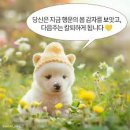아이파크안경 | 수원 아이파크안경 방문 후기