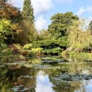 모네의 정원 이미지