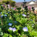 힐링타로상담 이미지