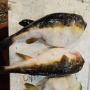 수암농장2 이미지