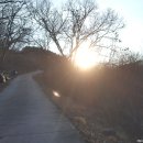 정금마을 차밭 앞 이미지