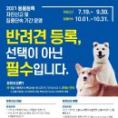 해남군-10 이미지