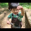 우리들의숲