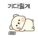 아모레뷰티카운셀러