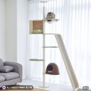 공간타워 | 가또블랑코 캣타워 아이언 캣폴 원목 캣타워 공간활용 후기 🐱