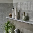 워시월드 이미지