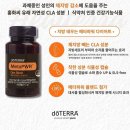 오감아로마