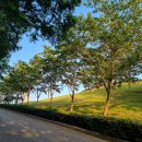 이순신공원(중간) | 통영 이순신공원 통영여행 추천지 통영 가볼만한곳 이순신공원 후기