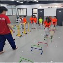 태비태권도 이미지