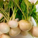 <내 마음대로 요리> 순무 사라다와 겉절이 이미지