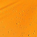 듀(Dew)