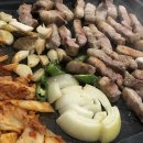 본토박이 이미지