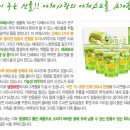 황토야채