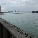 거북섬작은도서관 이미지