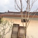 담담스테이 이미지