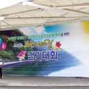 대강생활체육공원 이미지