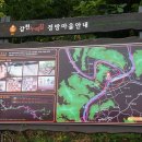 정방경로당 Daum카페