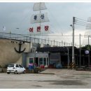 강화해수랜드 Daum카페
