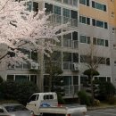 코오롱공인중개사사무소 | 경남창원시마산회원구내서읍호계리아파트경매/ 호계리코오롱하늘채1차경매 62평형 1회유찰70% 호계초...