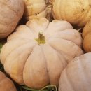 복길농장 이미지