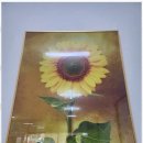 당진부동산중개사무소 이미지