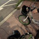 아리수 분식 | [반포] 순대튀김 즉석떡볶이 맛집 미소의집 내돈내산 (+포장 후기)