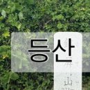 산복로 네이버블로그