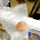 이가네만두 이미지