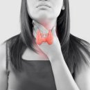 신진목장 이미지