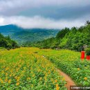 하동못안마을 이미지