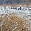 민박 동면 이미지