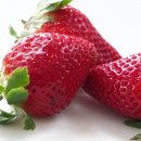 거기부동산중개주식회사 이미지