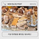 나니브레드 | 기장 베이커리 맛집 숨겨진 천연발효빵 원브레드 내돈내산 후기