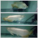 워터월드코리아 이미지