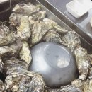 찜사랑해물 | 내돈내산 왕십리 행당동맛집 굴과찜사랑, 주차 가격 웨이팅