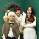 베베미뇽 Daum카페