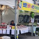 죽암대추농원