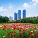 태화강국가정원 이미지