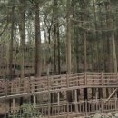 부산어린이대공원 이미지