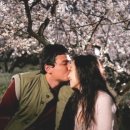 너는 내운명 이미지