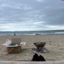 도구해수욕장 공중화장실 | 포항 오션뷰 노지캠핑 차박 추천 -도구해수욕장 화장실 샤워실 후기