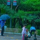 청솔한옥 이미지