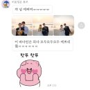 소오소목장 | [결혼준비] 제주스냅 행복한사진관 촬영 후기 (부제:행복한사진관&amp;오퍼스 패키지 완전 뽀개기) Part.2