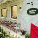 몽땅 포레스트 이미지