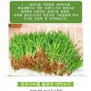 지재농장 이미지